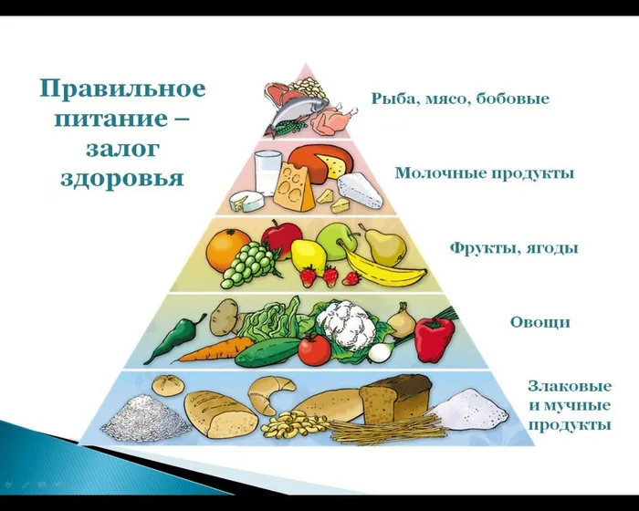 Правильное питание – залог здоровья