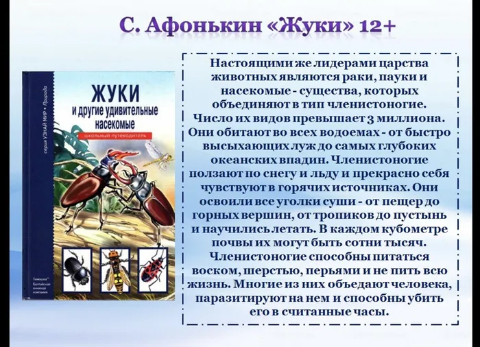 D9F979EF-7C40-41B2-9CC4-CBE52C7A0003