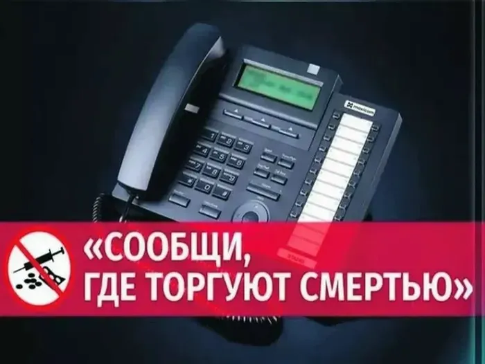 YyxfWEW0psaIP2W1T8lfB8BWlATtrJlg5YSwwnzdkiazJO0OM6hpoGluU2c8bKhDb4glbQNuTuPU9LRenECvXPh7