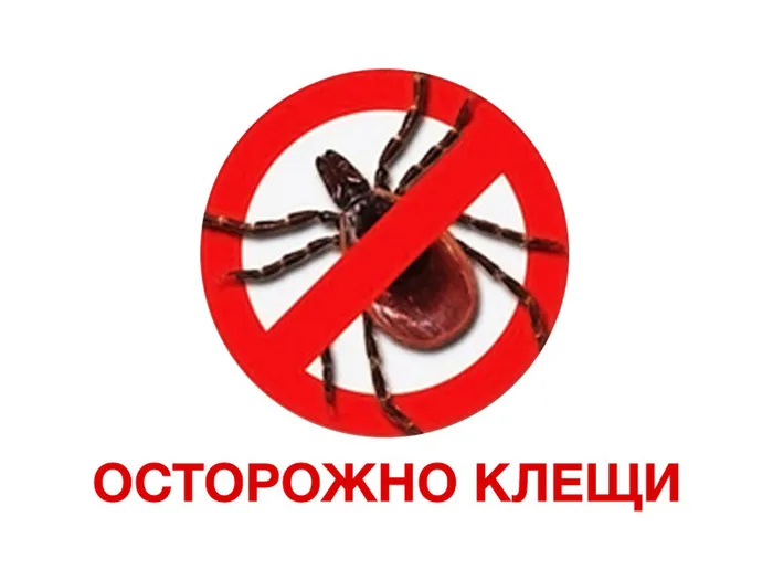 t1u1ecz709if4b6tjp88nc7ca5mv52f4