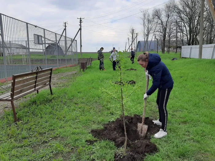 d105f8df-655b-4f0e-850c-700534fe9239