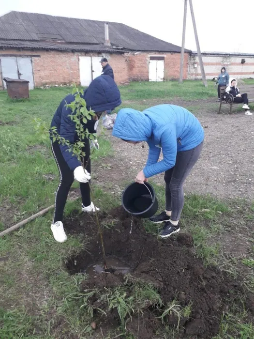 6c9e91d5-8996-4ed3-8529-037e8fd62b07