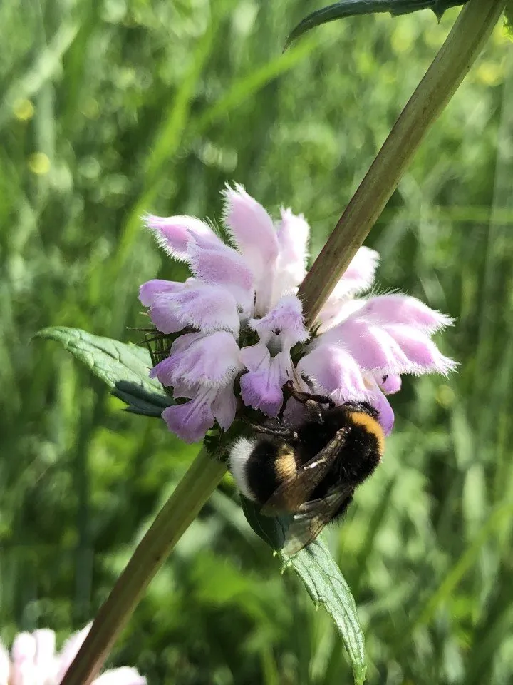 6ED47EEC-BAAA-45E4-83BD-0E8B24617F43