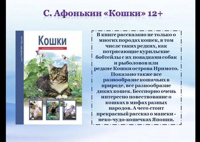 99E110B6-7C1C-42D3-8786-2B5D0F9CEE09