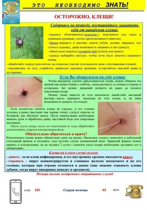 Осторожно клещи