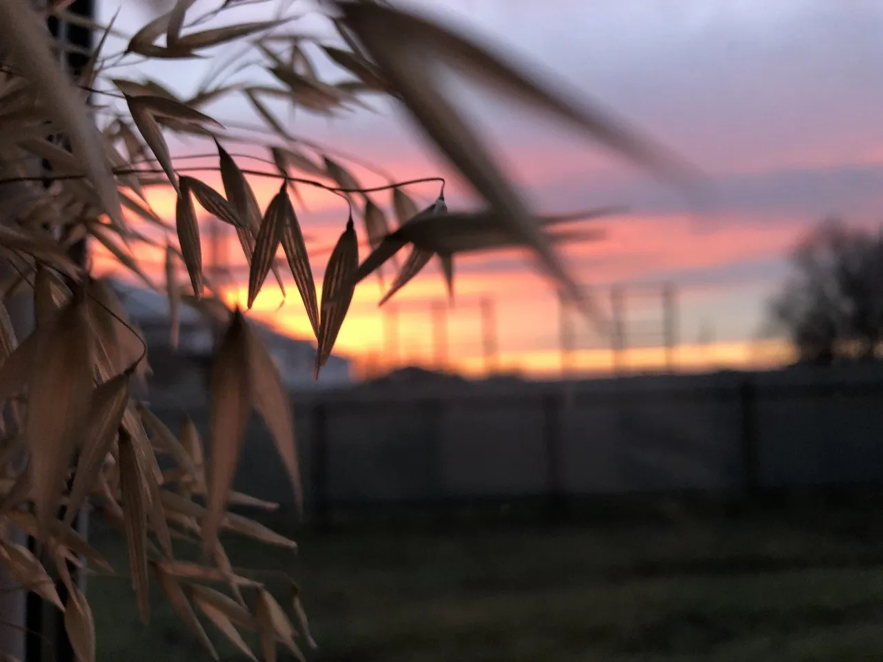 D289994F-756D-49C3-B105-12763811C5B6