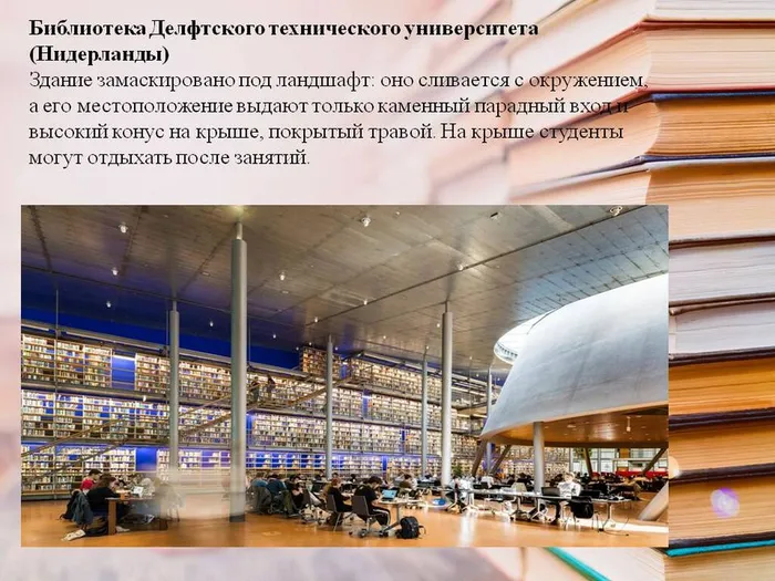 Слайд7