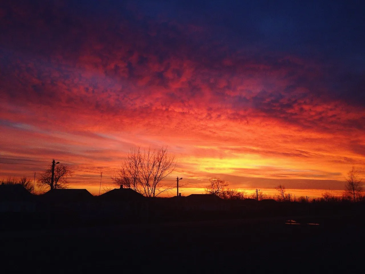 9796AAE5-98CD-410F-89F8-1ACAC73A632C