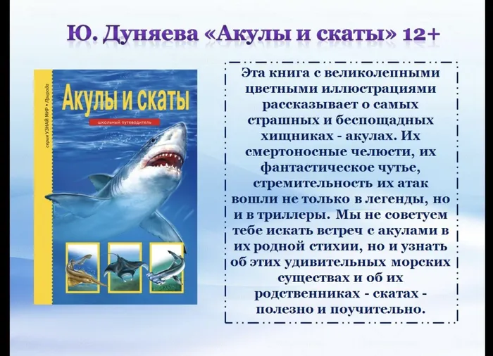 E979D909-72BC-49A6-9AA1-74E7F204F0B3